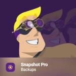WPMU Dev SnapShot Pro