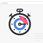 Perfmatters - Speed Up Your WordPress Site
